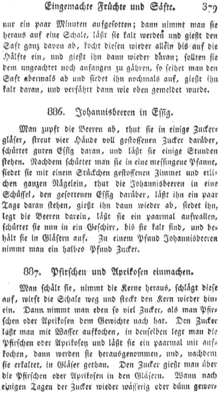 Aprikosen einmachen