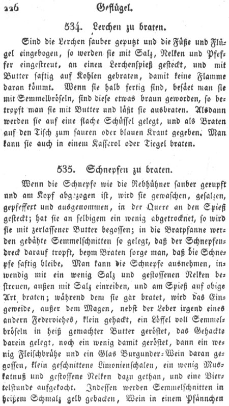 Schnepfen braten