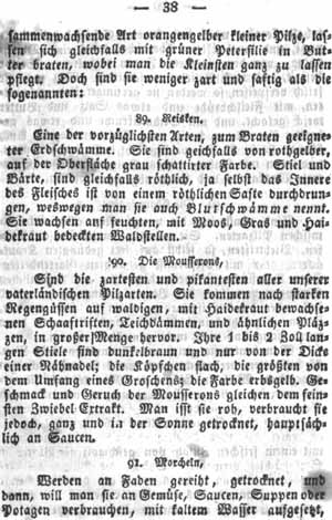 Morcheln, Pilze