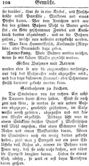 Saubohnen, Gem&uuml;se